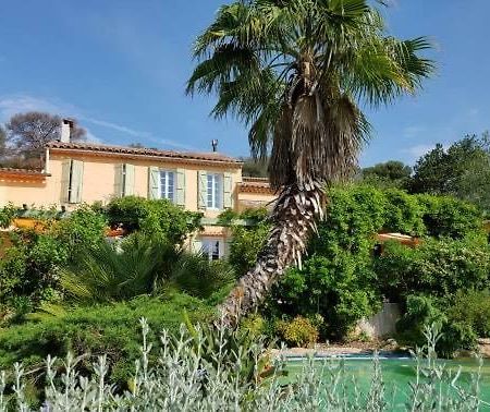 Les Palmiers Toulon Daire Dış mekan fotoğraf