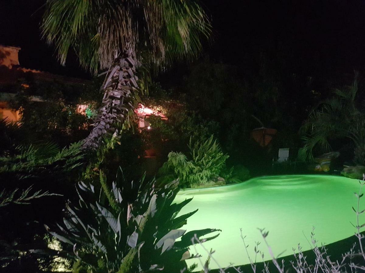 Les Palmiers Toulon Daire Dış mekan fotoğraf