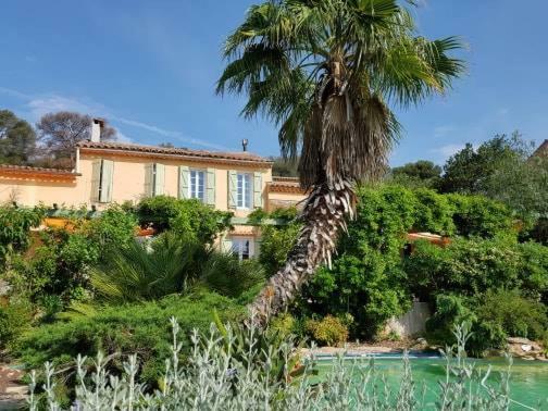 Les Palmiers Toulon Daire Dış mekan fotoğraf